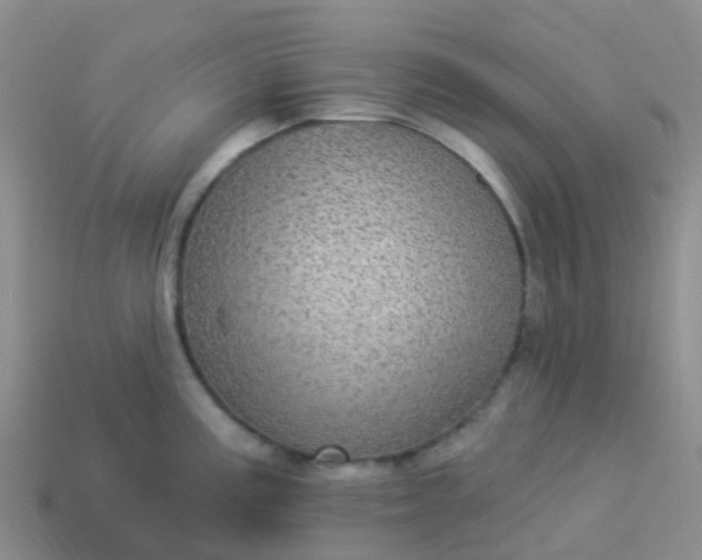 X0000113881195200910081740