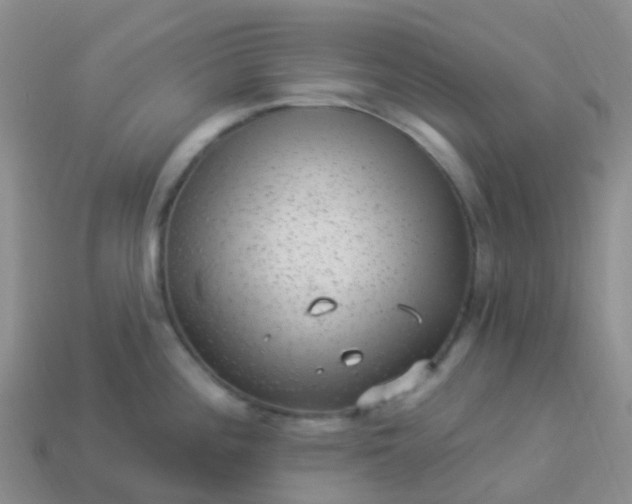 X0000113881196200910081740