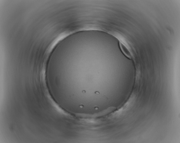 X0000113881197200910081740