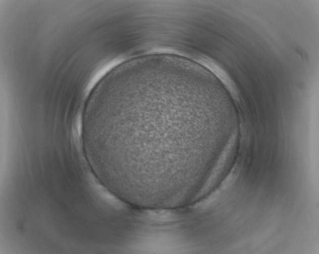 X0000113881198200910081740