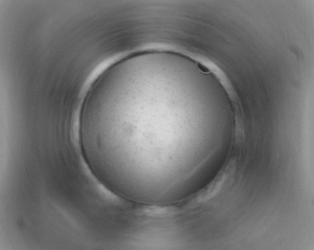 X0000113881199200910081740