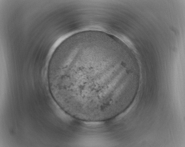 X0000113881200200910081740