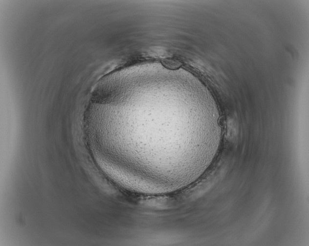 X0000113881201200910081740