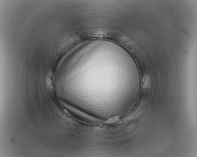 X0000113881202200910081740