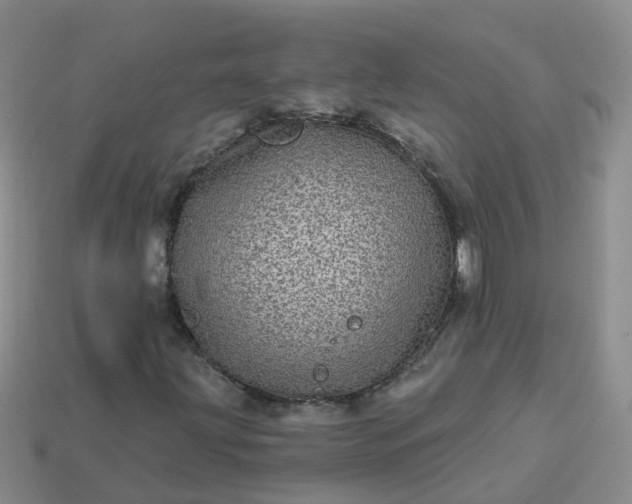 X0000113881203200910081740