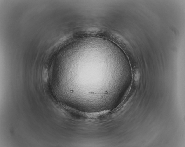 X0000113881204200910081740