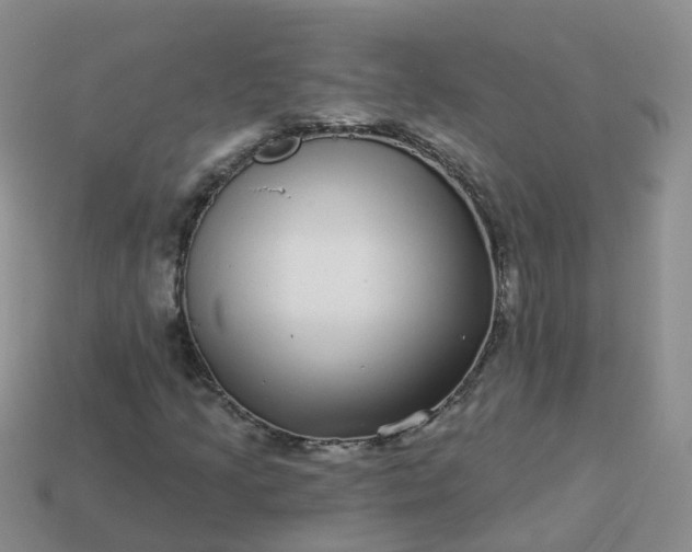 X0000113881205200910081740