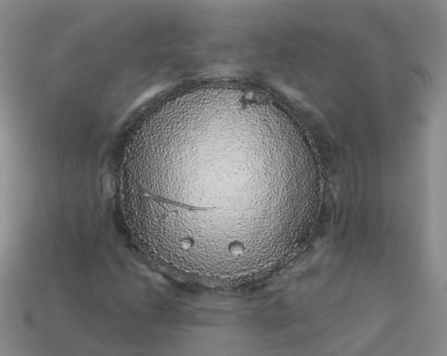 X0000113881206200910081740