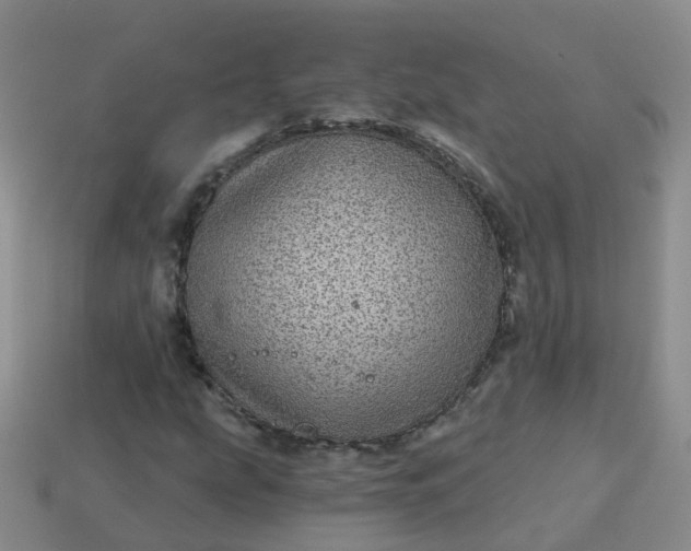 X0000113881207200910081740