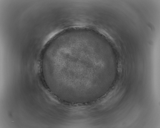 X0000113881208200910081740