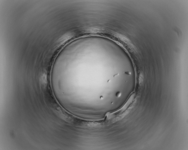 X0000113881209200910081740