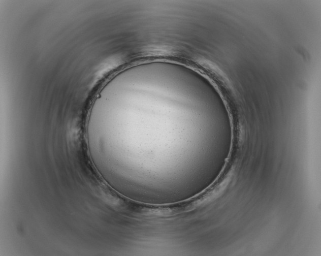 X0000113881210200910081740