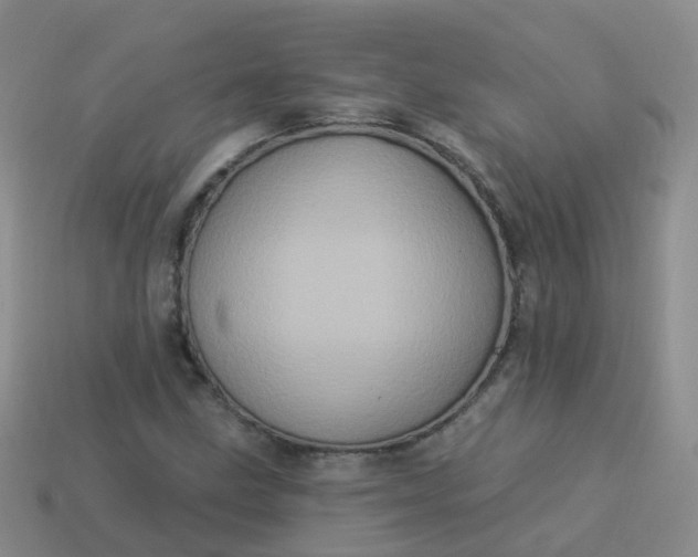 X0000113881211200910081740