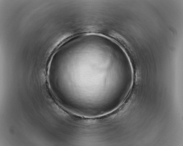 X0000113881212200910081740