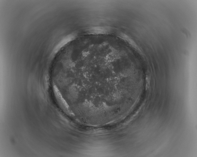 X0000113881213200910081740