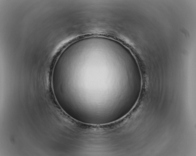 X0000113881214200910081740