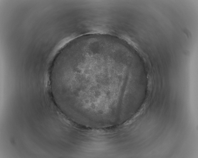 X0000113881215200910081740