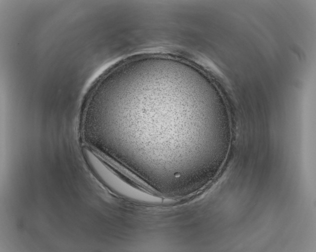 X0000113881216200910081740