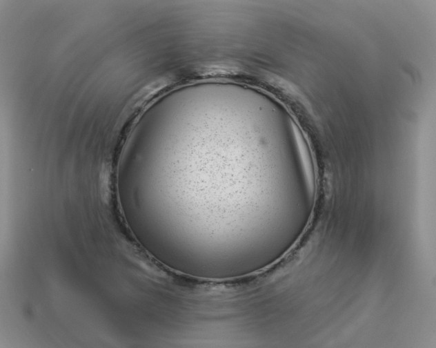 X0000113881217200910081740