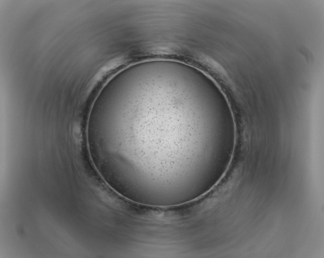 X0000113881218200910081740