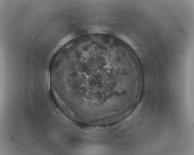 X0000113881219200910081740