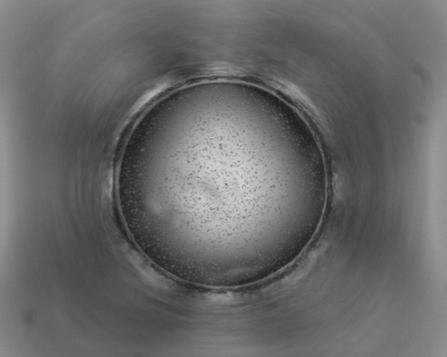 X0000113881220200910081740