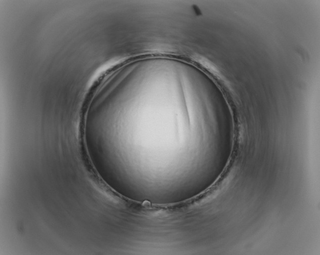 X0000113881222200910081740