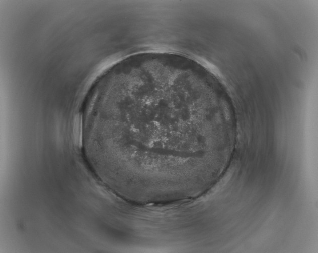 X0000113881223200910081740