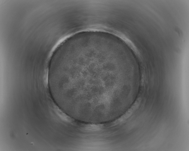 X0000113881224200910081740