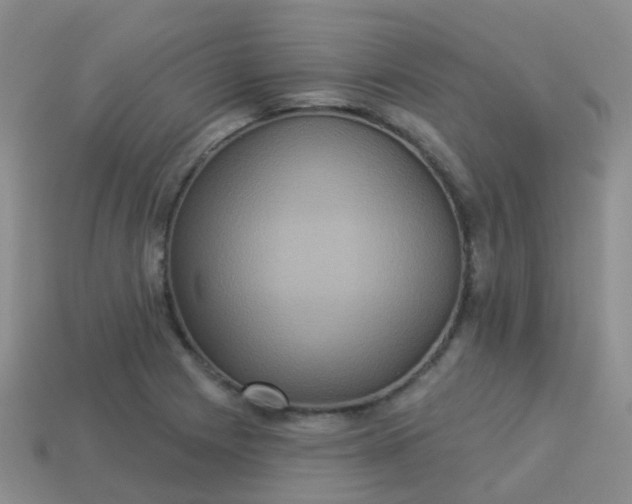 X0000113881225200910081740