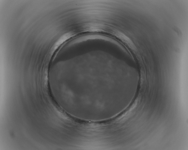 X0000113881226200910081740