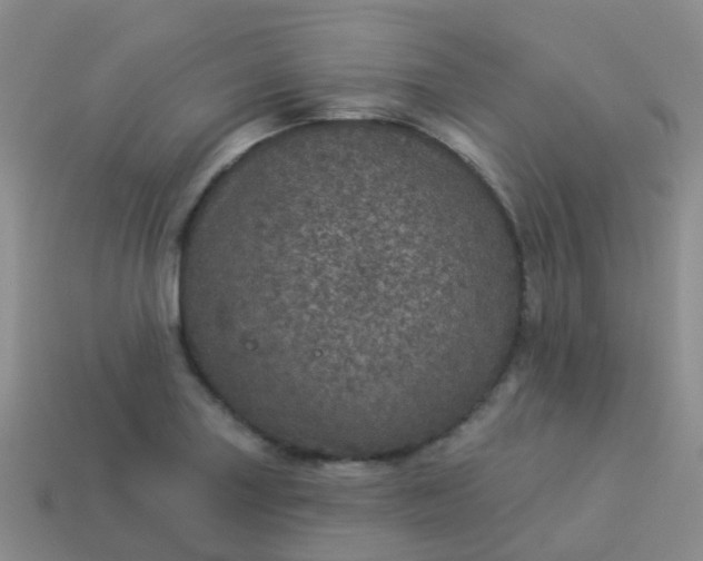 X0000113881227200910081740