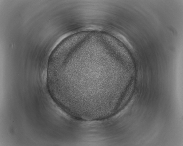 X0000113881228200910081740