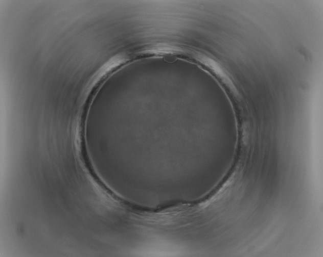 X0000113881229200910081740