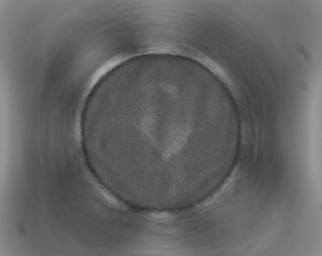 X0000113881230200910081740