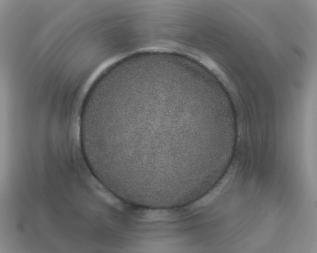 X0000113881232200910081740