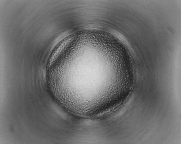 X0000113881234200910081740