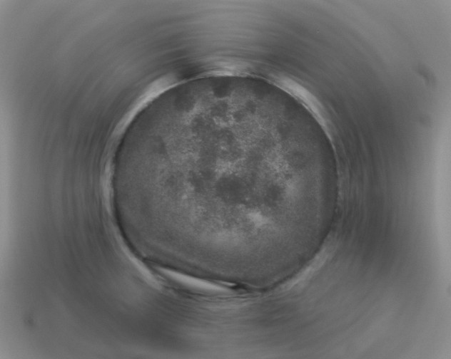 X0000113881235200910081740