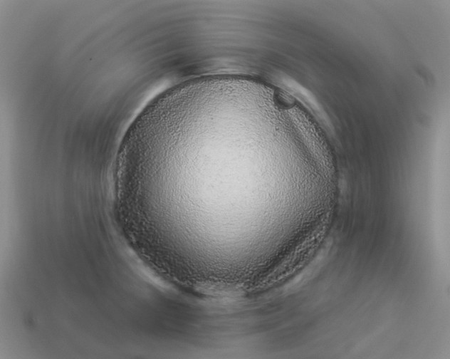 X0000113881236200910081740