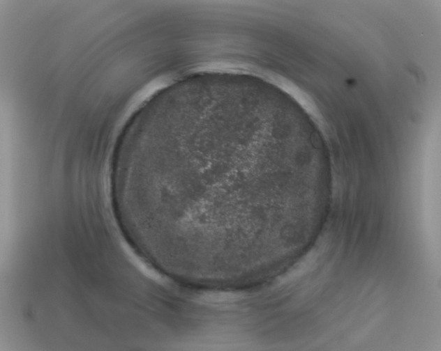 X0000113881237200910081740