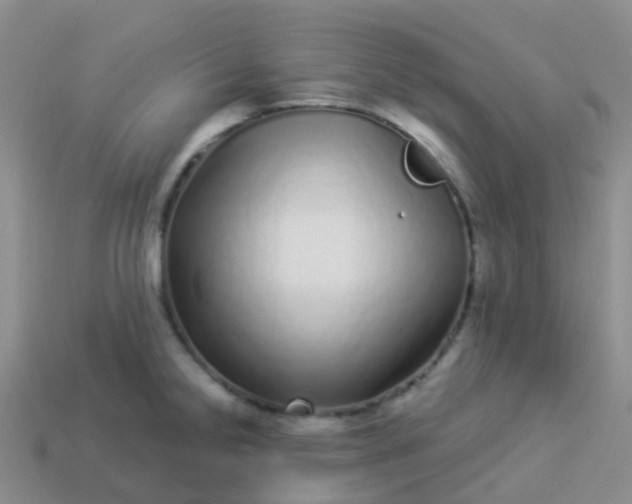 X0000113881238200910081740