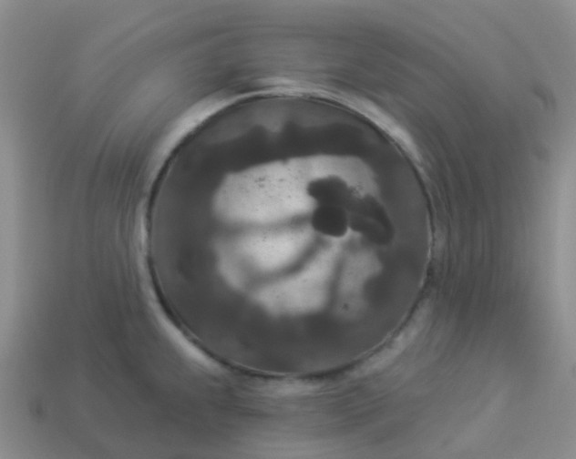 X0000113881239200910081740