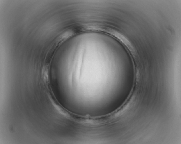 X0000113881241200910081740