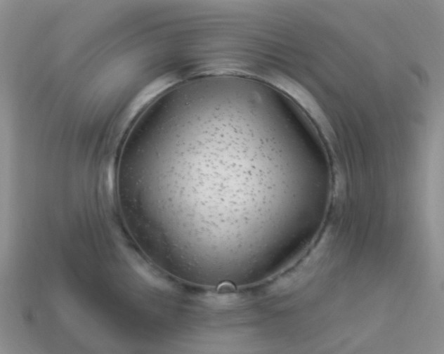 X0000113881242200910081740