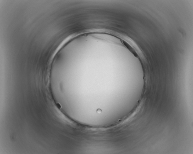 X0000113881244200910081740