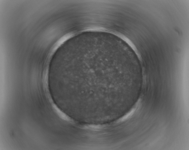 X0000113881245200910081740