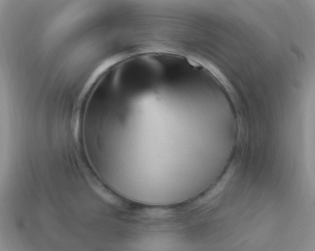 X0000113881246200910081740