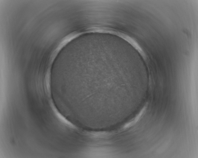 X0000113881247200910081740