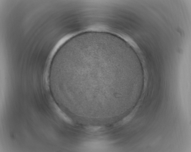 X0000113881248200910081740