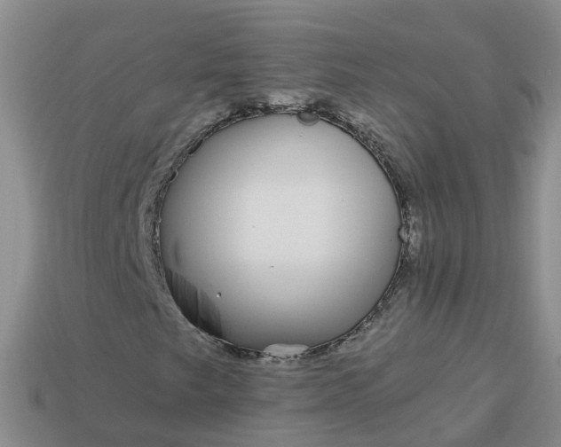 X0000113881249200910081740